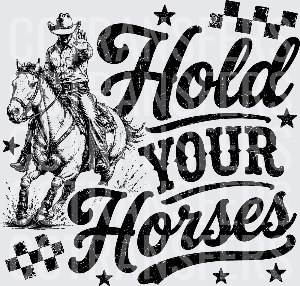 Hold Your Horses Cowboy Rider Stars Checkered (DTF)
