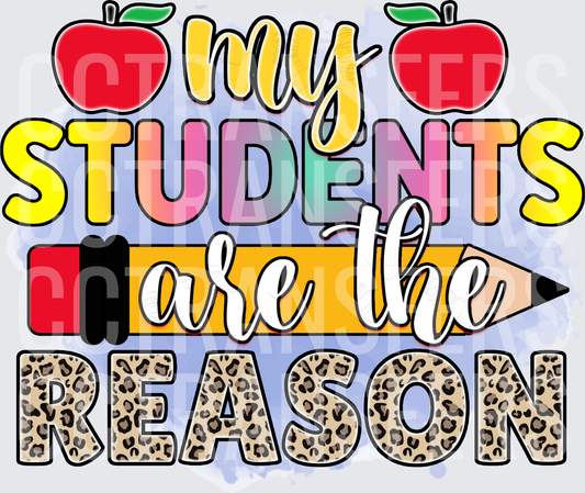 My Students Are The Reason Teacher Leopard Print Apples (DTF)