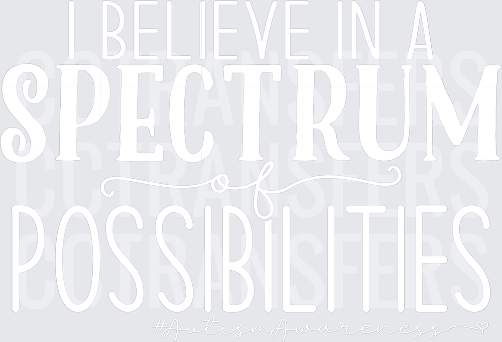 I Believe In A Spectrum of Possibilities Autism Awareness (DTF)