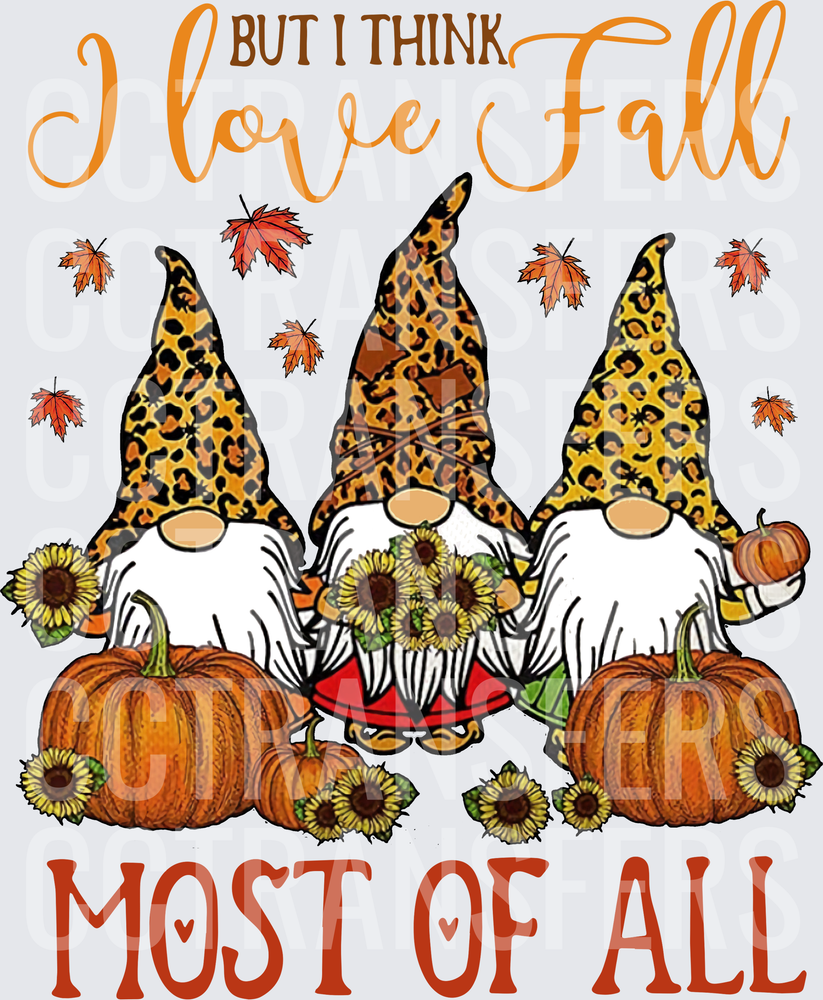 But I Think I Love Fall Most Of All Gnomes DTF
