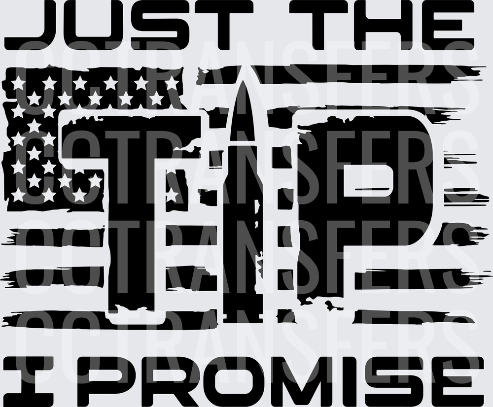 Just The Tip I Promise Distressed American Flag Bullet (DTF)