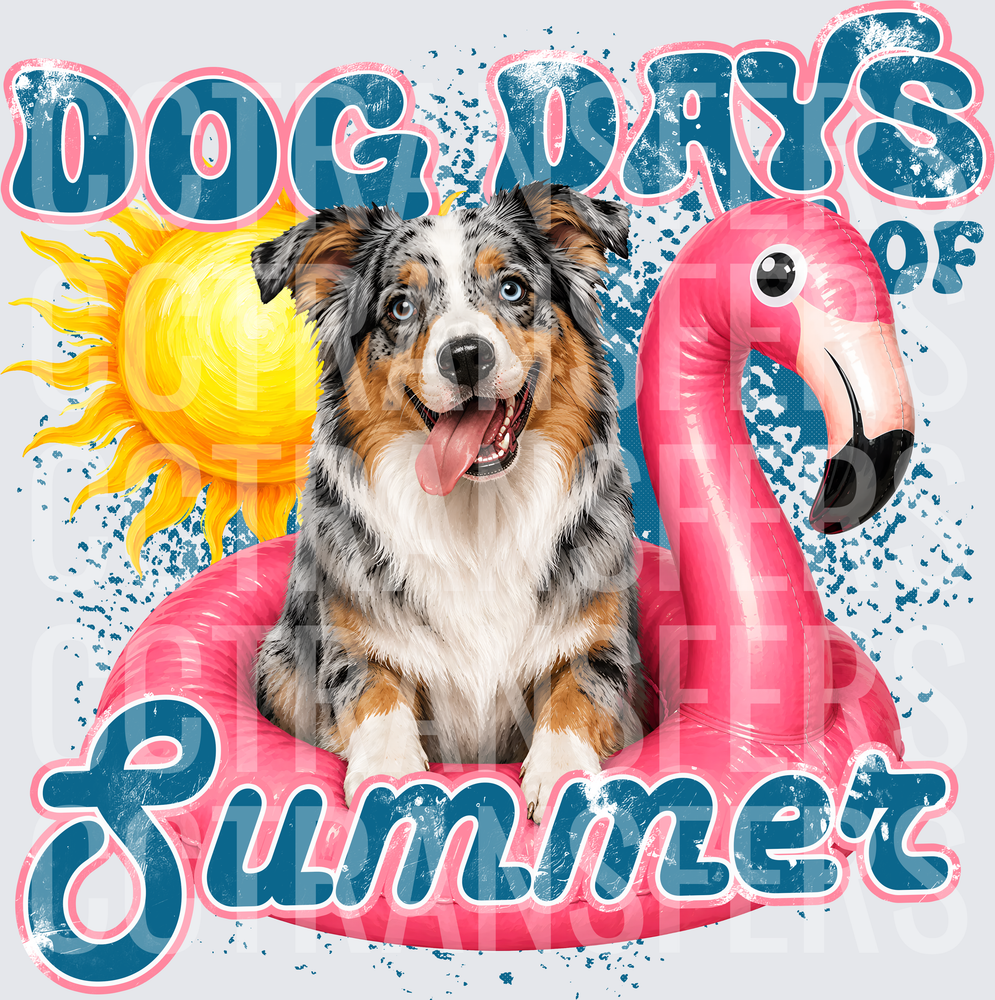 Dog Days of Summer Australian Shepherd Flamingo Float (DTF)