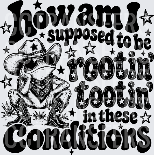 How Am I Supposed To Be Rootin Tootin Cowboy Frog (DTF)