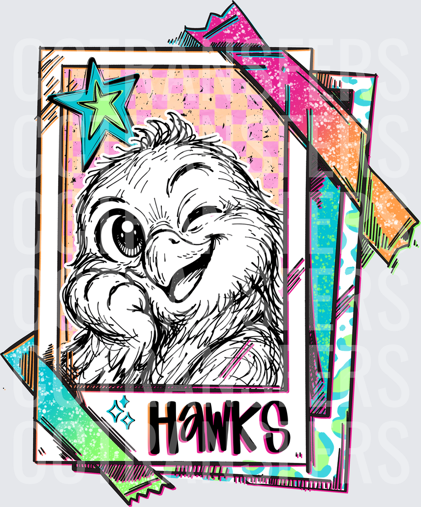 Cute Fluffy Hawk Winking Retro Polaroid Card DTF