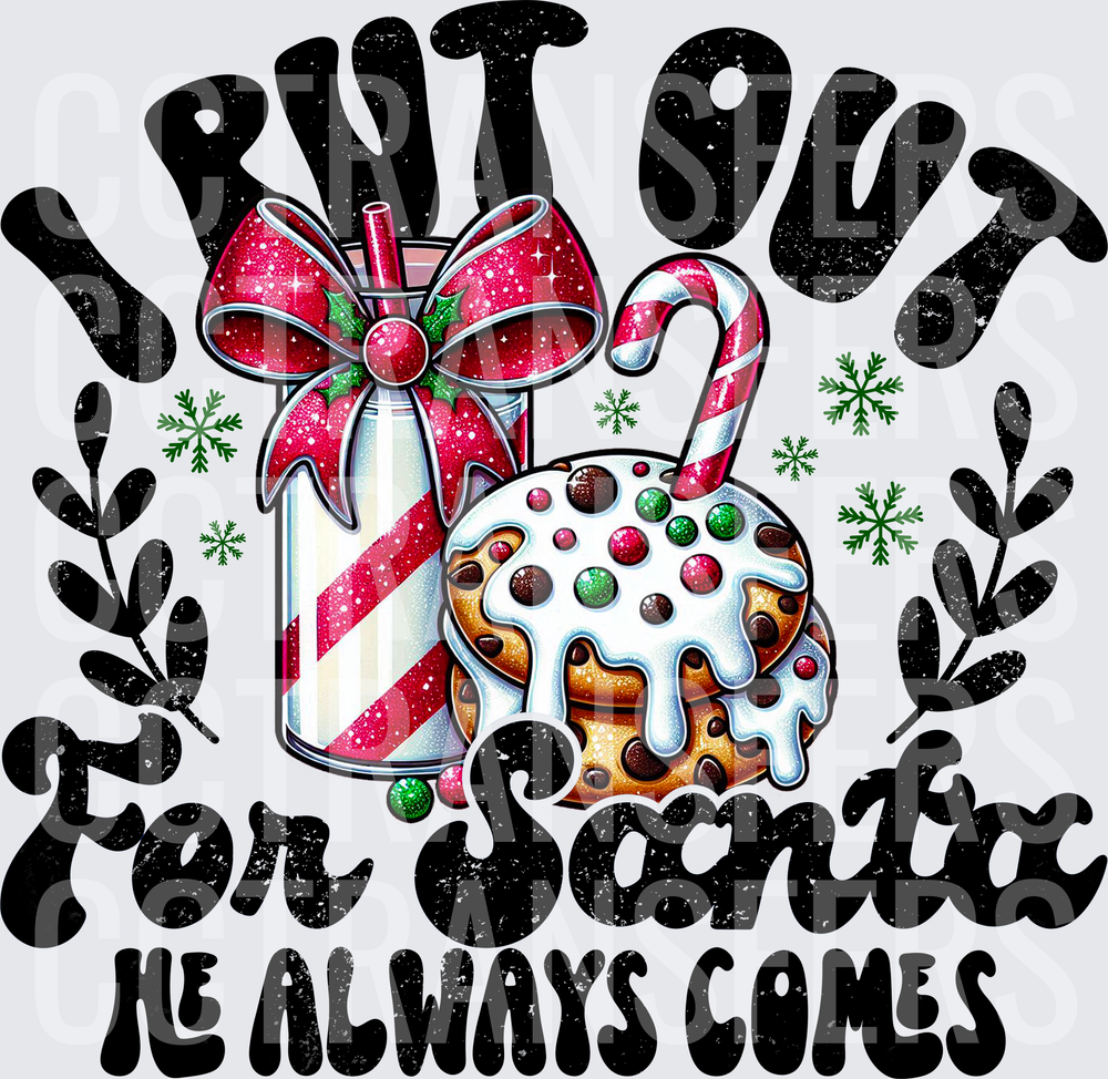 I Put Out For Santa He Always Comes Milk Cookies (DTF)