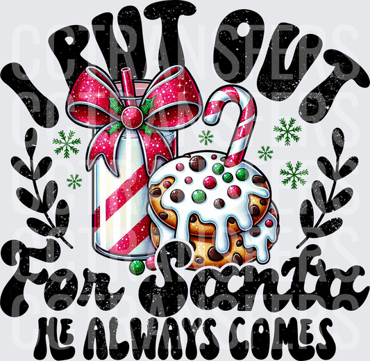 I Put Out For Santa He Always Comes Milk Cookies (DTF)
