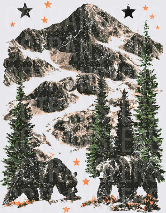 Grizzly Bears Pine Forest Mountain Stars Wilderness (DTF)
