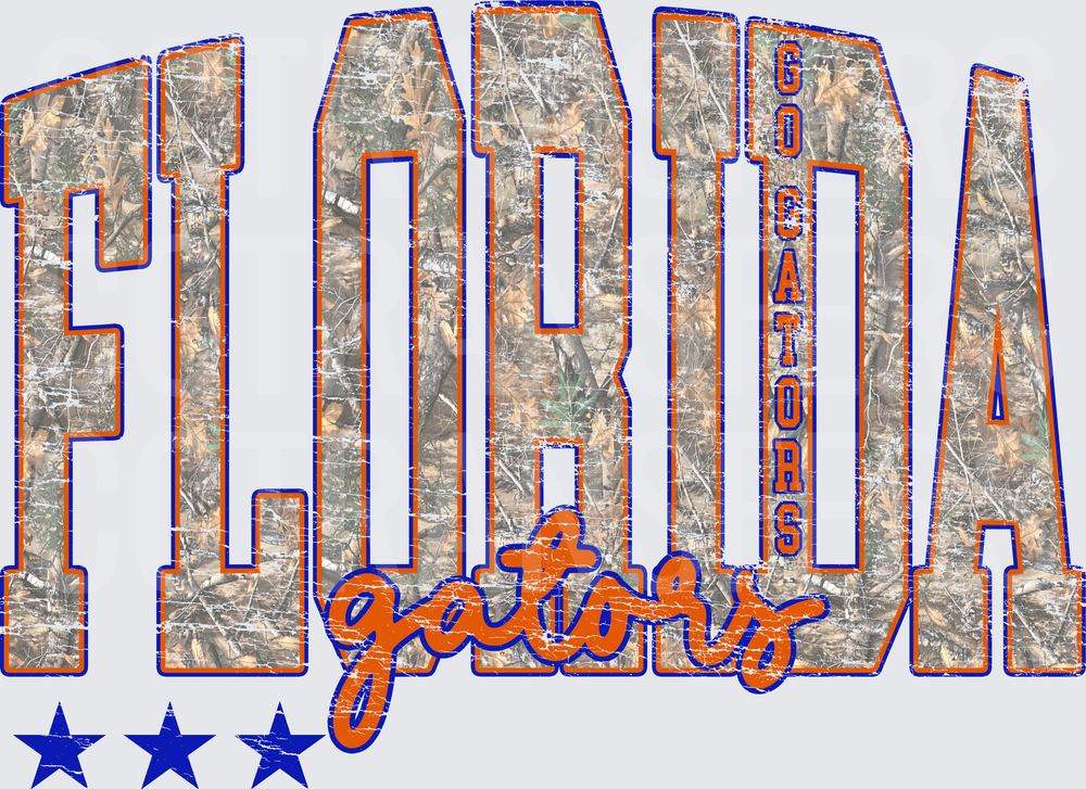 Florida Gators Go Gators Camo Distressed Stars (DTF)