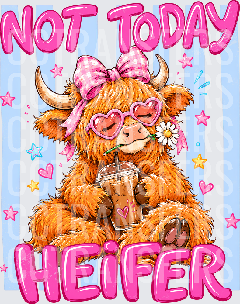Not Today Heifer Sassy Highland Cow Iced Coffee (DTF)