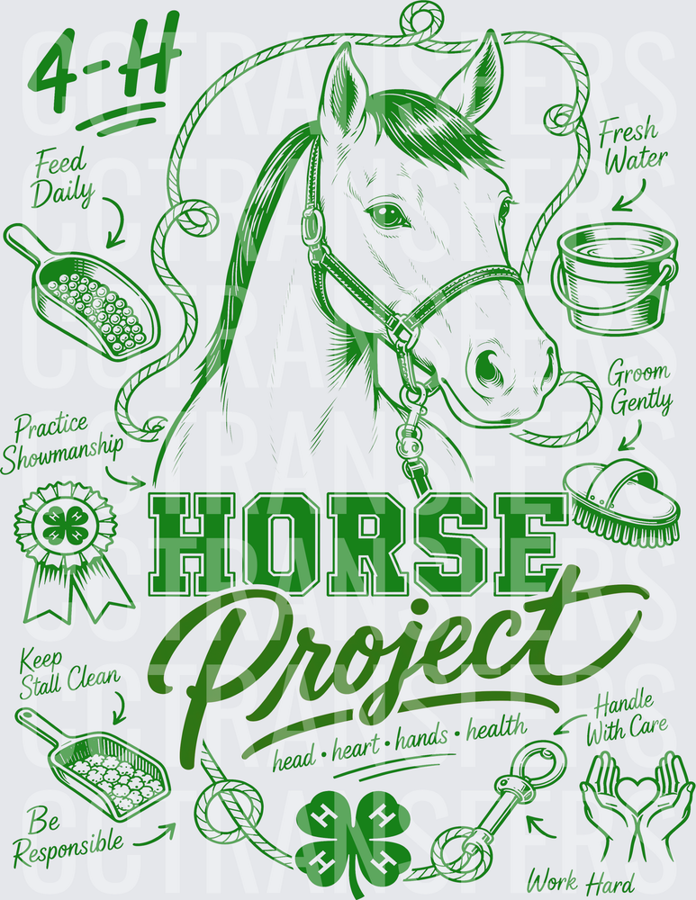 4-H Horse Project Head Heart Hands Health (DTF)