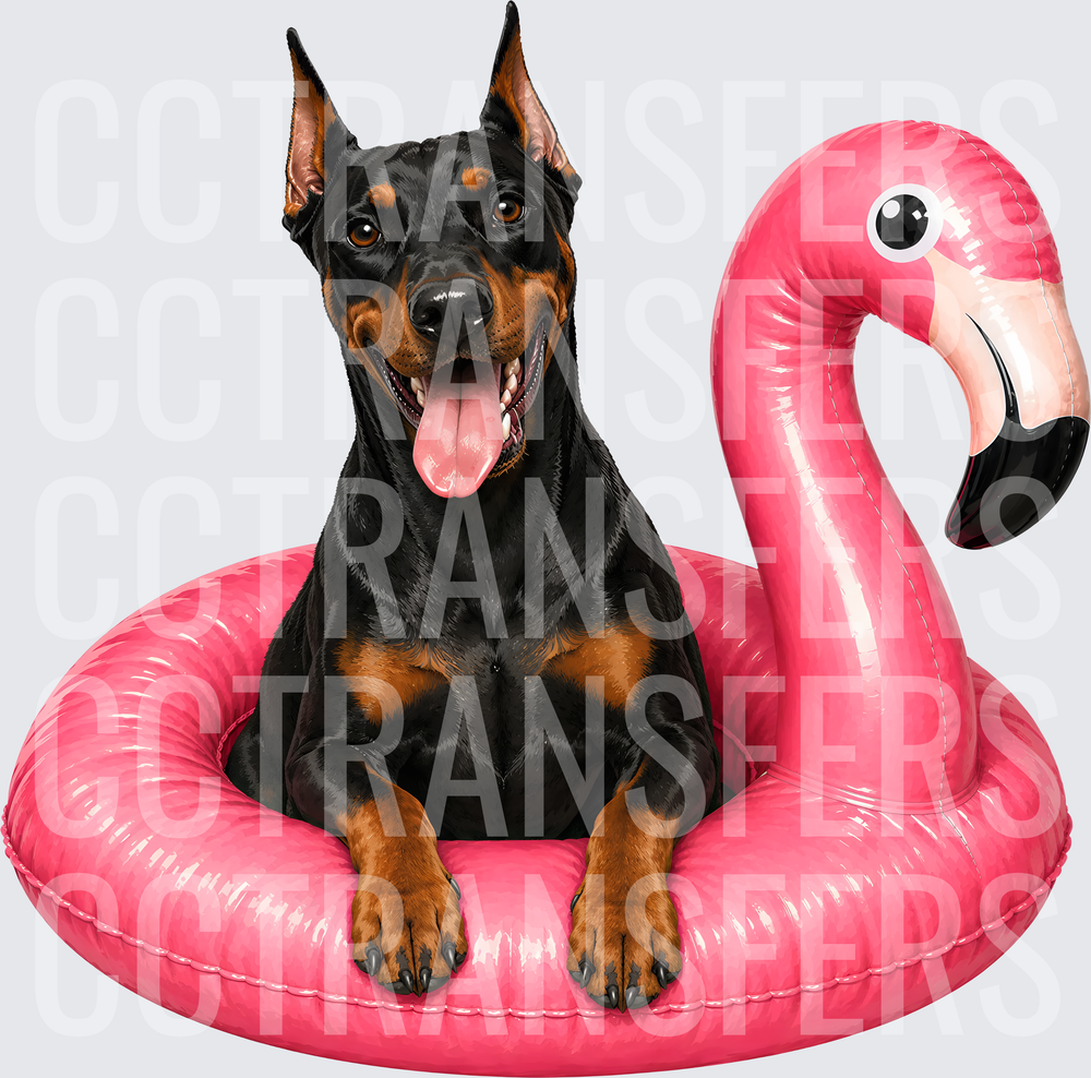 Happy Doberman Sitting in Pink Flamingo Pool Float (DTF)