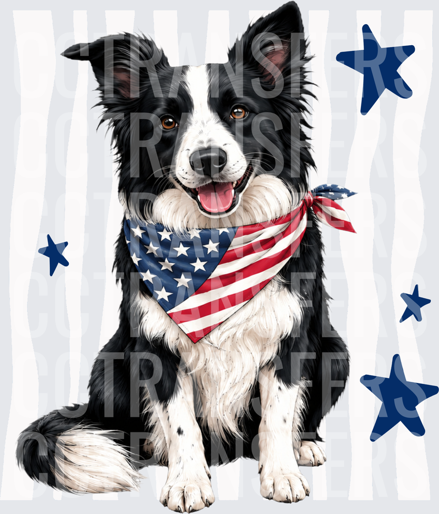 Patriotic Black & White Herding Dog American Flag Bandana (DTF)