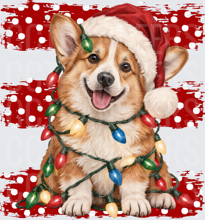 Corgi Santa Hat Wrapped in Christmas Lights Red Polka Dot (DTF)