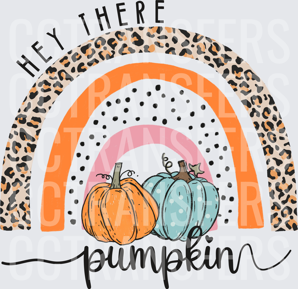 Hey There Pumpkin Leopard Rainbow Fall (DTF)