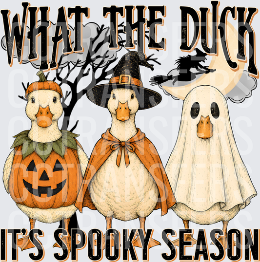 What The Duck It's Spooky Season Halloween Ducks (DTF)