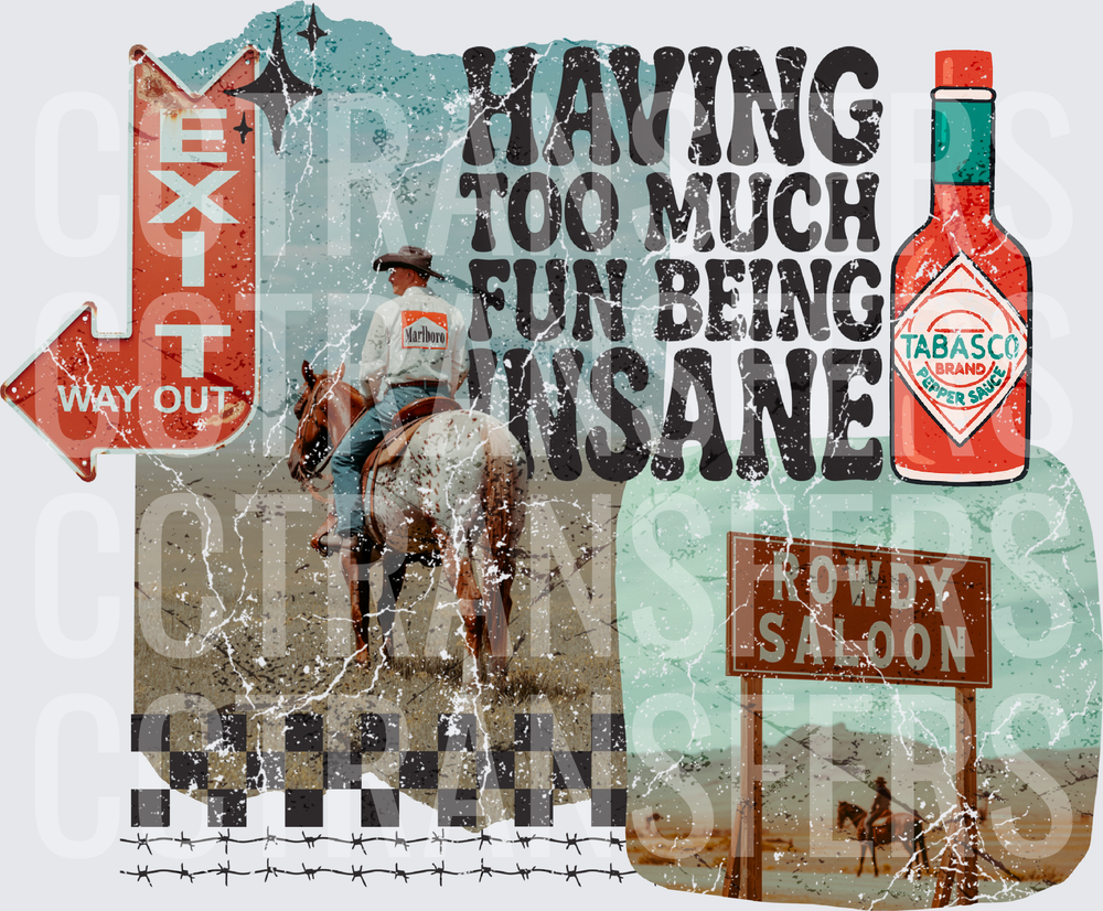 Having Too Much Fun Being Insane Western Cowboy (DTF)