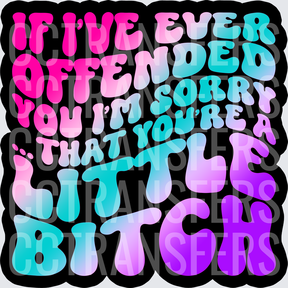 If I've Ever Offended You I'm Sorry That You're A Little Bitch (DTF)
