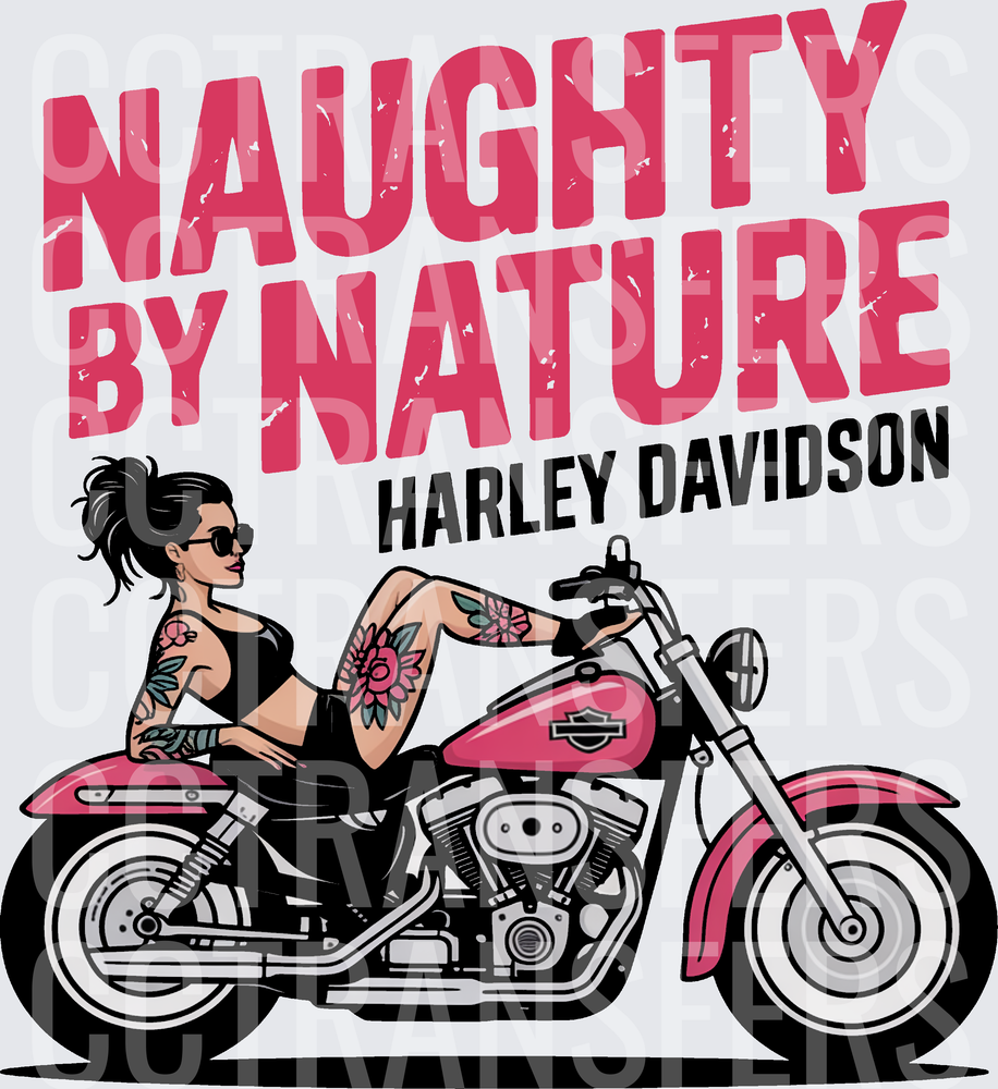 Naughty By Nature Tattooed Biker Girl on Pink Motorcycle (DTF)