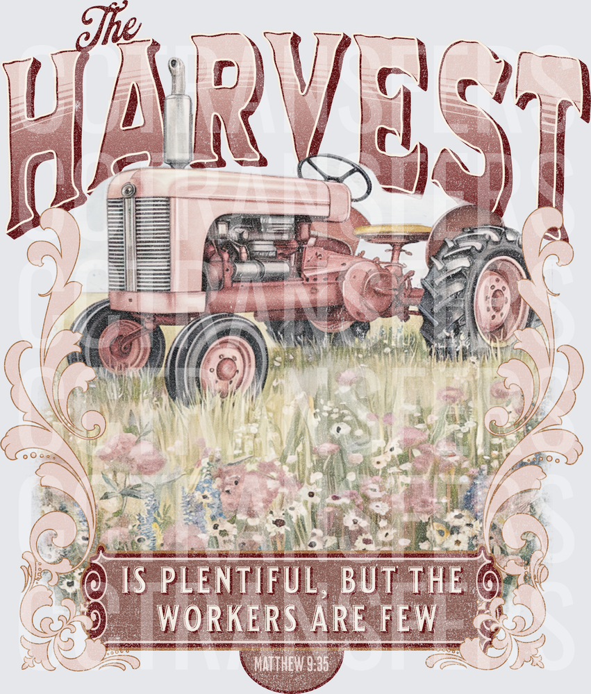 The Harvest Is Plentiful But The Workers Are Few Matthew 9:35 (DTF)