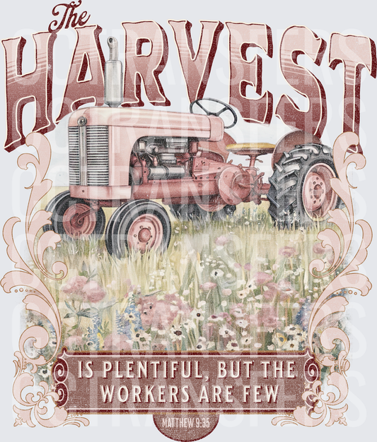 The Harvest Is Plentiful But The Workers Are Few Matthew 9:35 (DTF)