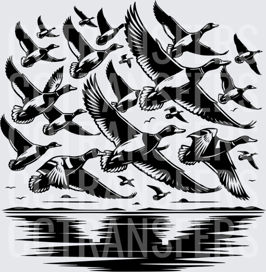 Black and White Flock of Ducks Taking Flight Over Water (DTF)