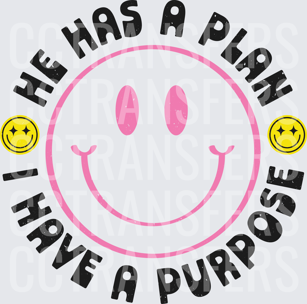 He Has A Plan I Have A Purpose Smiley Face (DTF)