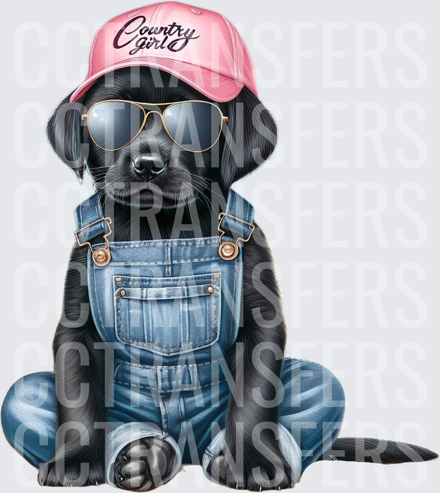 Country Girl Black Lab Puppy Overalls Sunglasses (DTF)