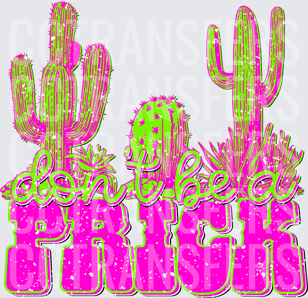 Don't Be A Prick Neon Cactus Desert (DTF)
