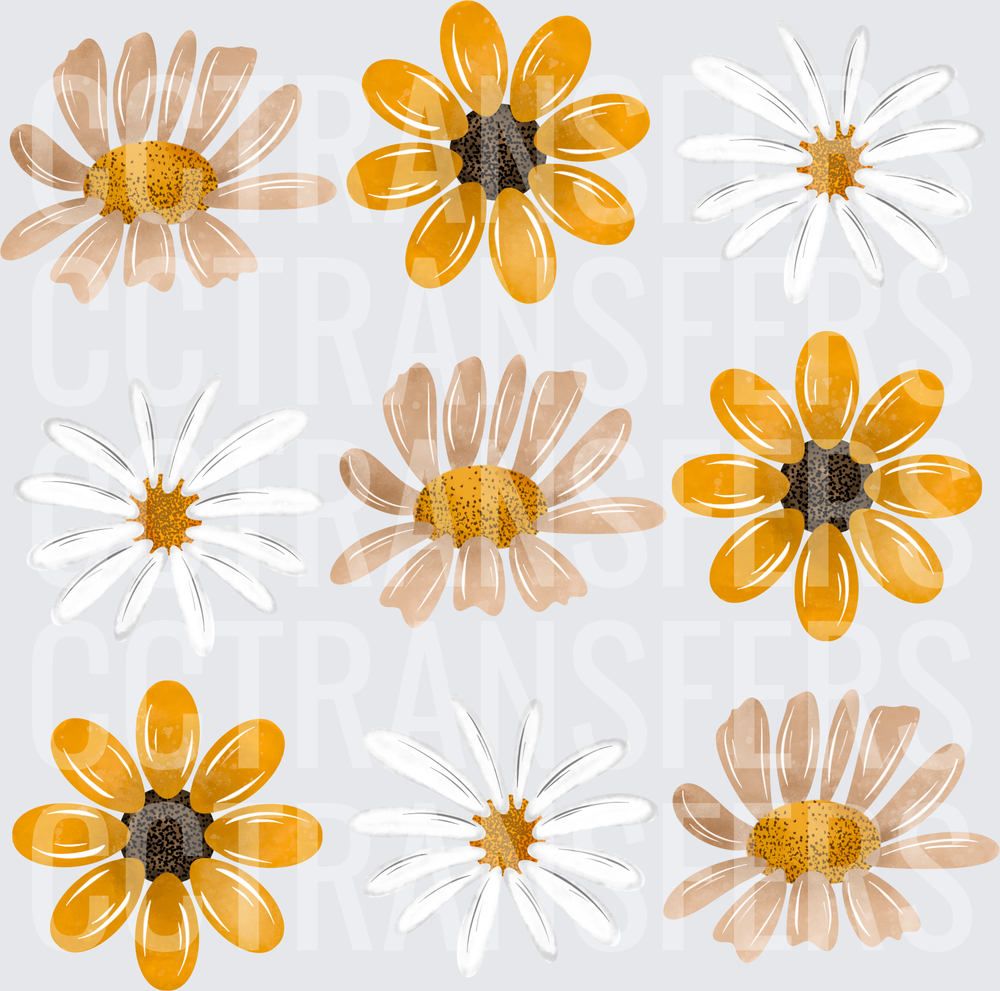 Watercolor Daisy Flower Variety Set Gold White Beige (DTF)