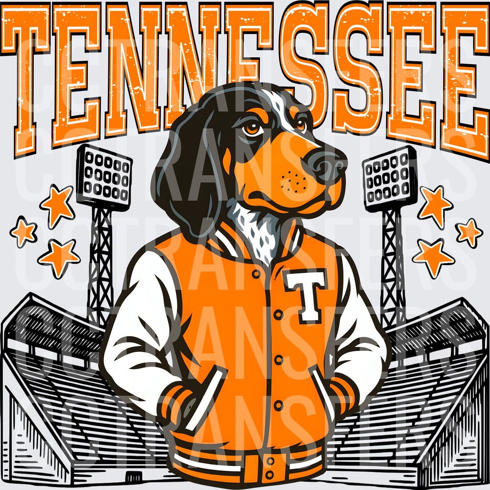 Bluetick Hound Orange Varsity Jacket Stadium (DTF)