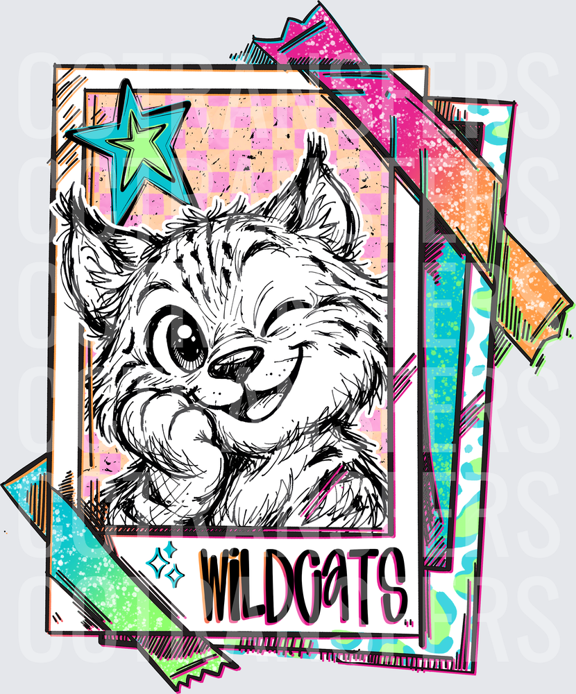 Retro Wildcats Smiling Cat School Spirit Polaroid (DTF)