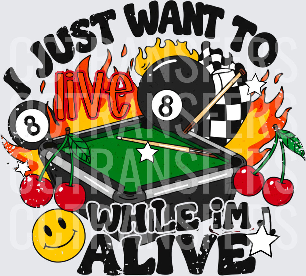 I Just Want To Live While I'm Alive Pool Table 8 Ball (DTF)