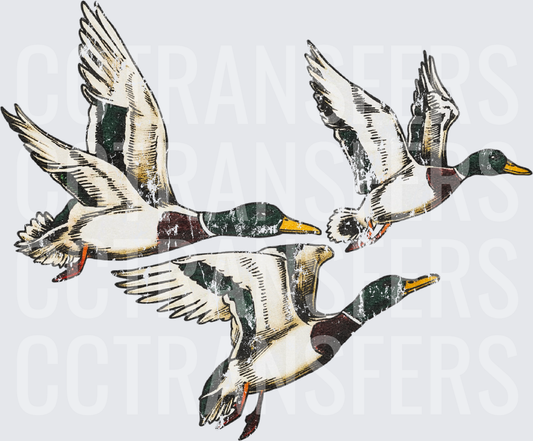 Vintage Distressed Flying Mallard Ducks Flock (DTF)