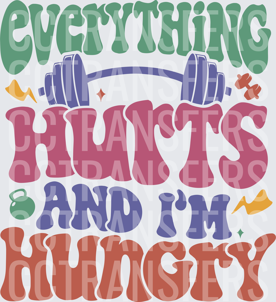 Everything Hurts And I'm Hungry Gym Fitness Groovy (DTF)