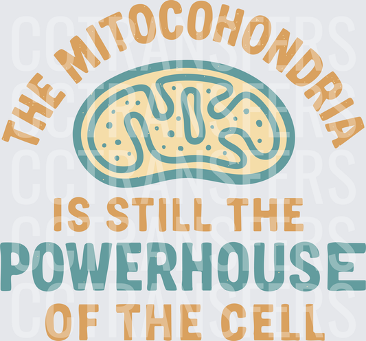 The Mitochondria Is Still The Powerhouse Of The Cell (DTF)