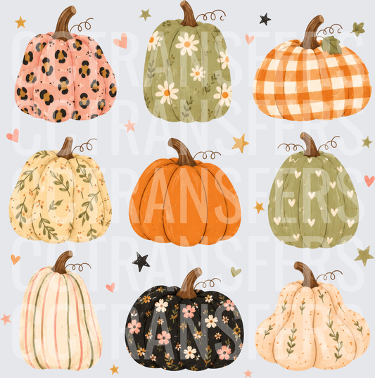 Boho Patterned Pumpkin Collection Fall Autumn Set (DTF)