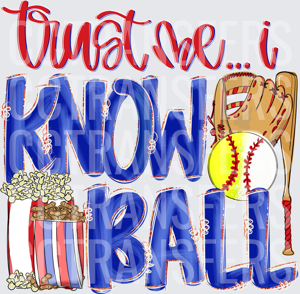 Trust Me I Know Ball Softball Glove Bat Popcorn (DTF)