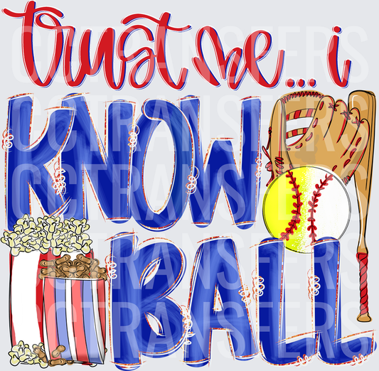Trust Me I Know Ball Softball Glove Bat Popcorn (DTF)