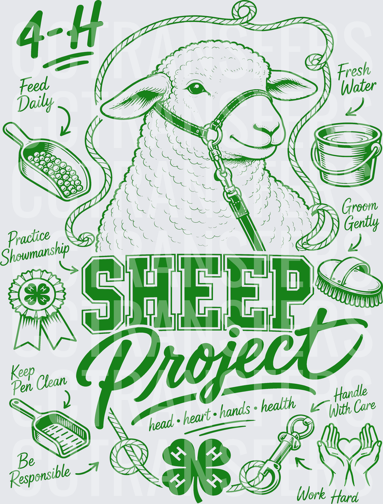 4-H Sheep Project Head Heart Hands Health (DTF)