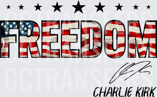 Freedom American Flag Text Stars Signature Design (DTF)