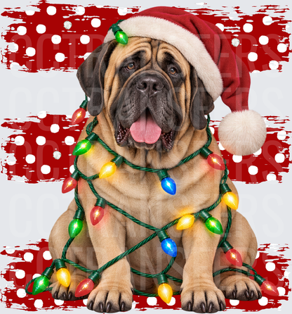 Mastiff Santa Hat Christmas Lights Holiday Dog (DTF)