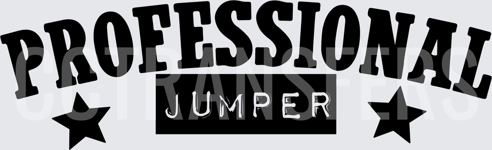 Professional Jumper Bold Arch Text with Stars (DTF)