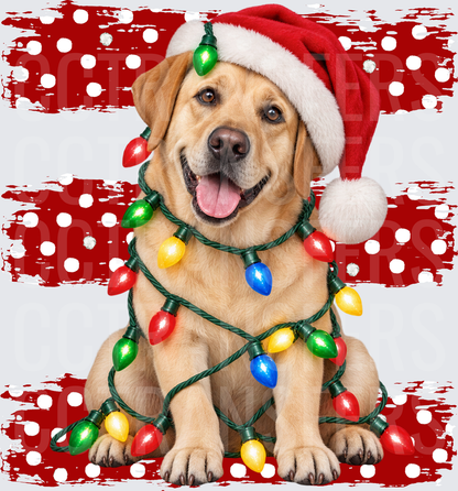 Yellow Lab Santa Hat Christmas Lights Holiday Dog (DTF)