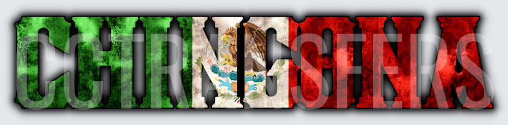 Chingona Mexican Flag Bold Letter Design (DTF)