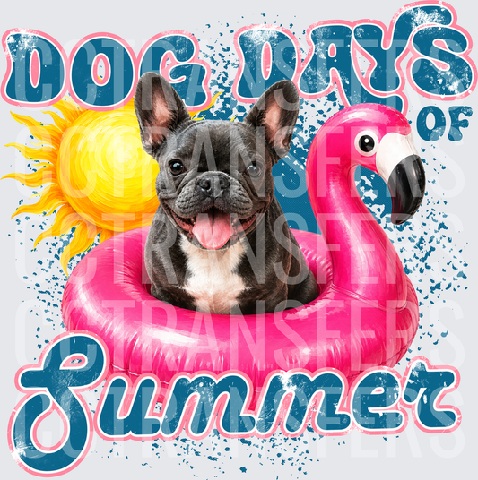 Dog Days of Summer French Bulldog Flamingo Float (DTF)