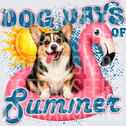 Dog Days of Summer Corgi on Flamingo Pool Float (DTF)