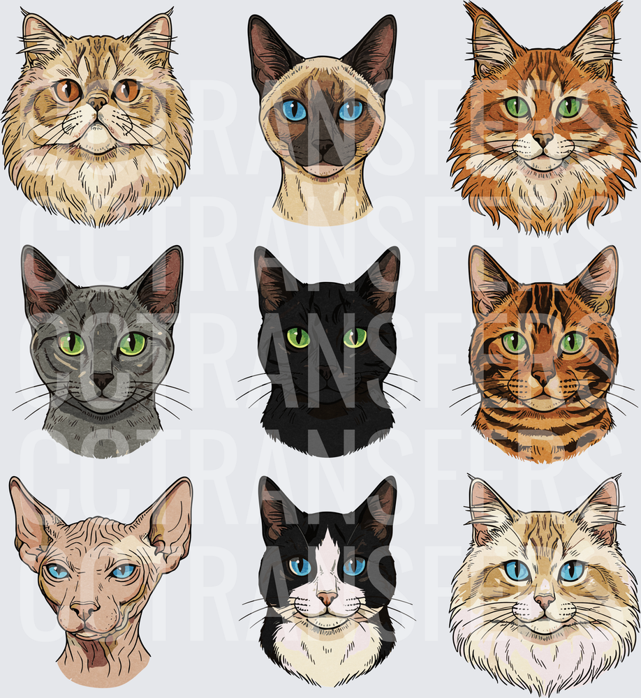 Nine Cat Breed Portrait Illustration Collection (DTF)