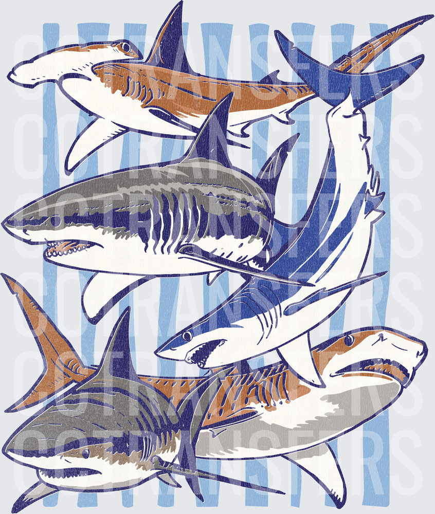 Multi-Shark Species Ocean Illustration Blue Stripe (DTF)