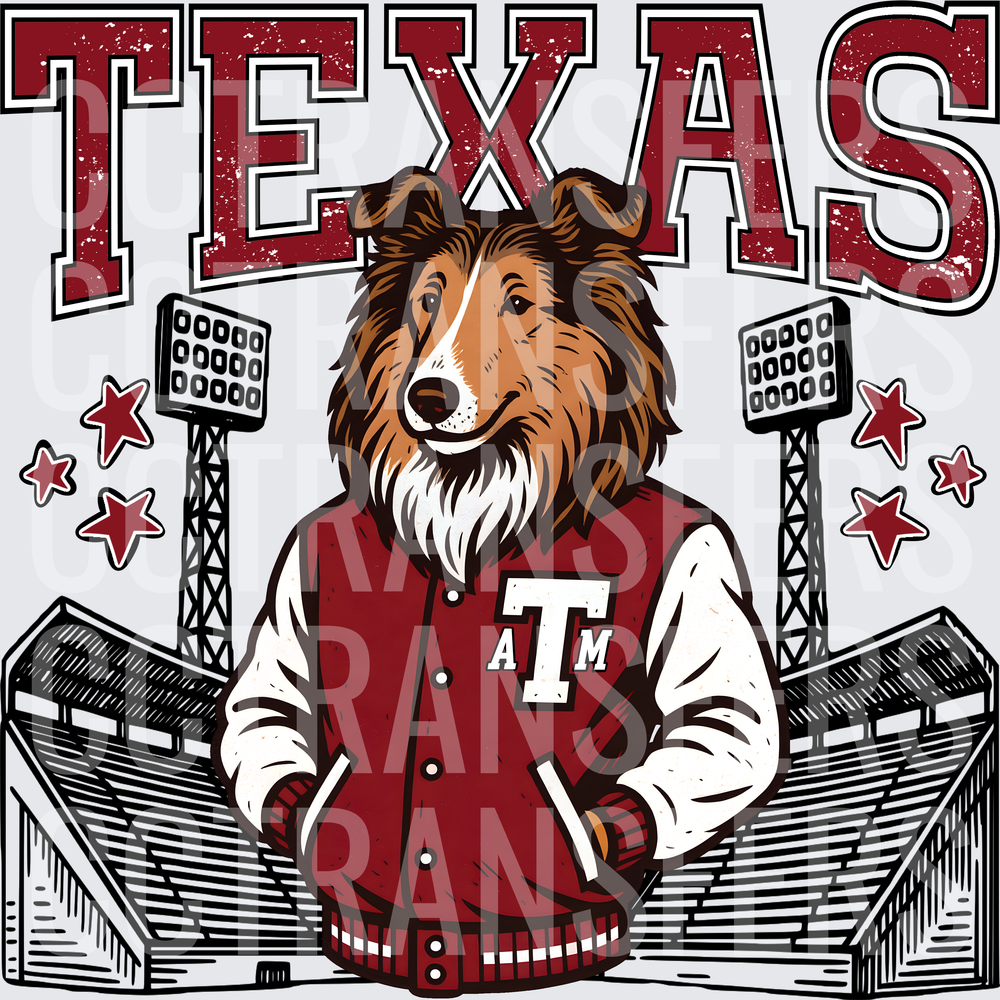 Texas Collie Dog Varsity Jacket Stadium Stars (DTF)