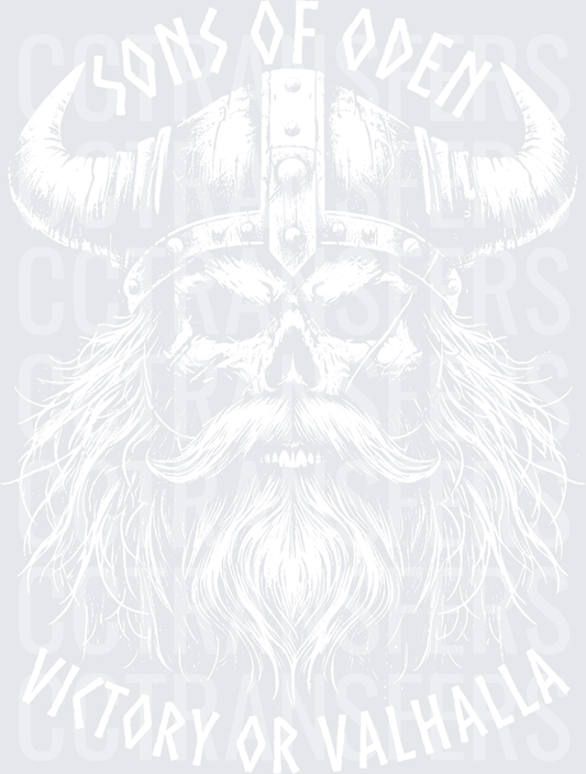 Skull Warrior Horned Helmet Dripping Ink Norse Design white (DTF)